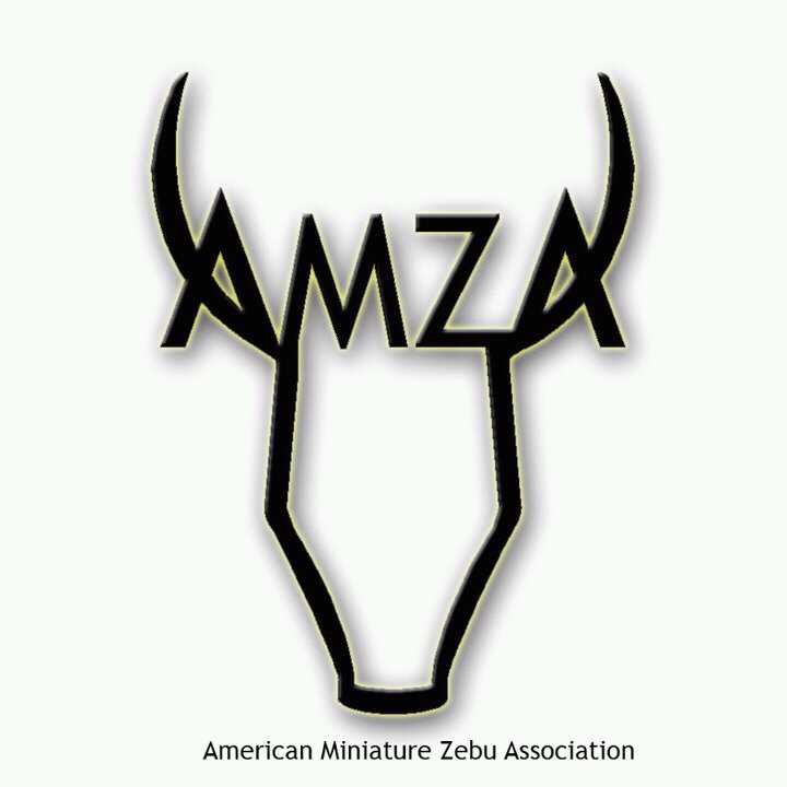 American Miniature Zebu Association
