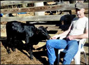 Eddie and Little Willie - Stephens Farm