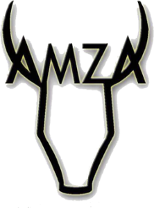 amza icon