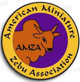 AMZA color patch